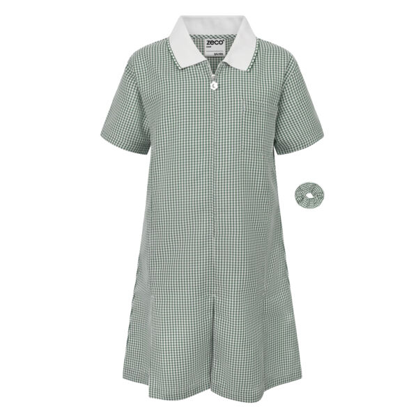 Zeco A-Line Gingham Dress - Green Thumbnail